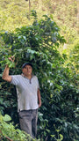 Duberli Jimenez - Peru