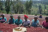 Ethiopia Natural