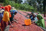 Ethiopia Natural