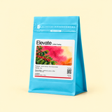 SL9* Washed - The Chavez Estate