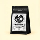 Jaguar Oscuro - Dark Roast - Guatemala