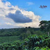 Casa Grande - Espresso Blend